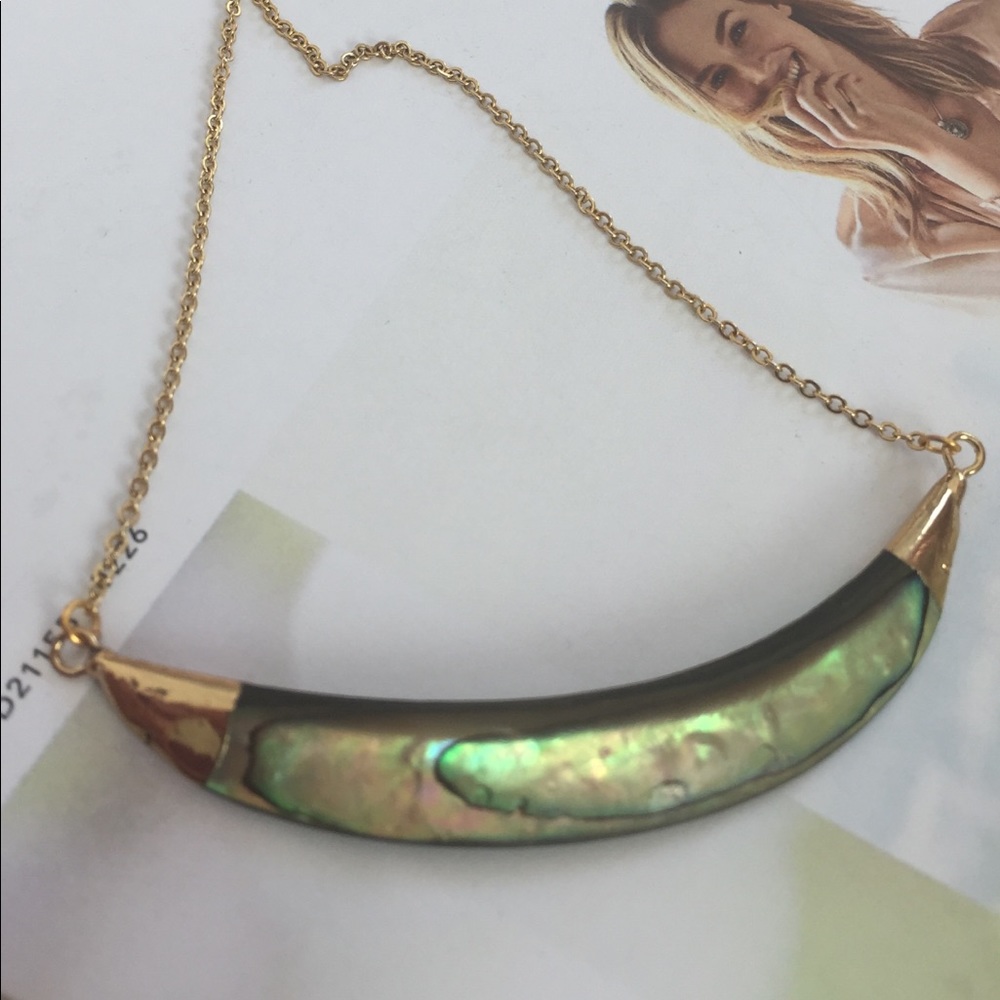 Abalone Necklace